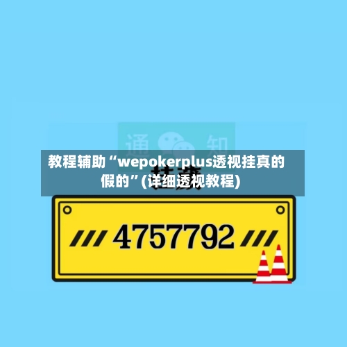 教程辅助“wepokerplus透视挂真的假的”(详细透视教程)-第3张图片