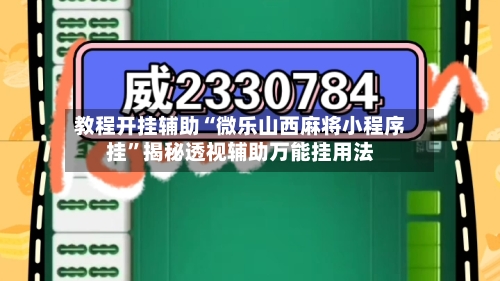 教程开挂辅助“微乐山西麻将小程序挂”揭秘透视辅助万能挂用法-第2张图片