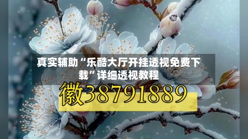 真实辅助“乐酷大厅开挂透视免费下载”详细透视教程-第2张图片