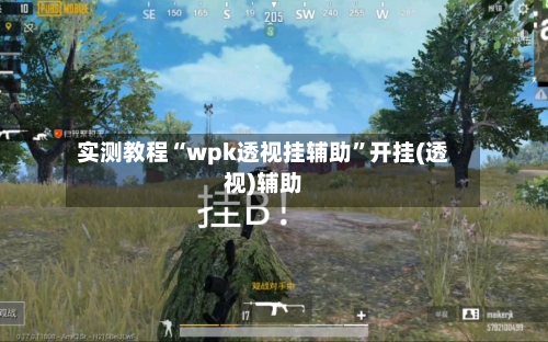 实测教程“wpk透视挂辅助	”开挂(透视)辅助-第2张图片