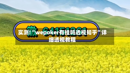 实测!“wepoker有挂吗透视知乎	”详细透视教程-第1张图片
