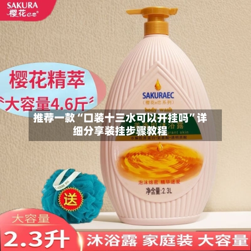 推荐一款“口装十三水可以开挂吗”详细分享装挂步骤教程-第3张图片