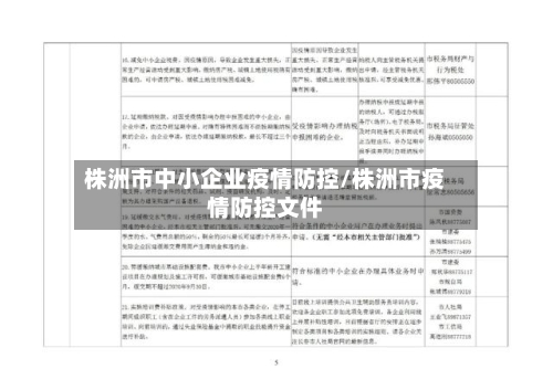 株洲市中小企业疫情防控/株洲市疫情防控文件-第1张图片
