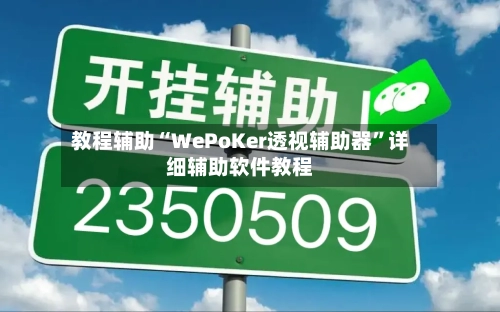 教程辅助“WePoKer透视辅助器”详细辅助软件教程-第3张图片