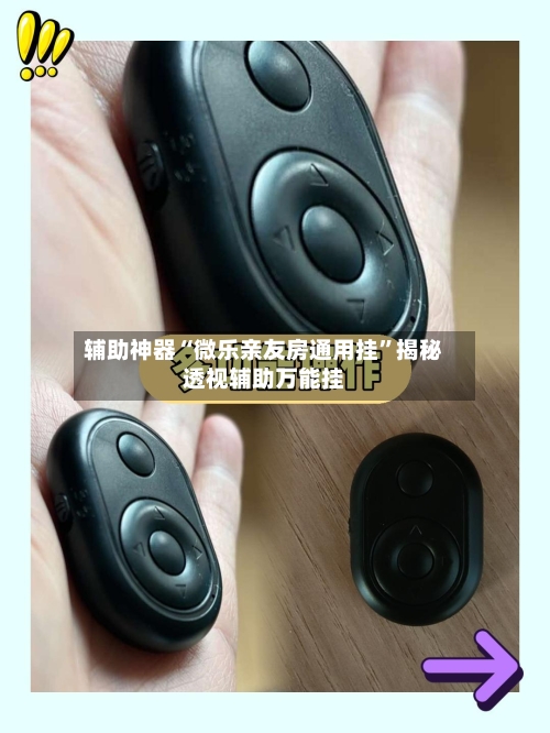 辅助神器“微乐亲友房通用挂”揭秘透视辅助万能挂-第3张图片