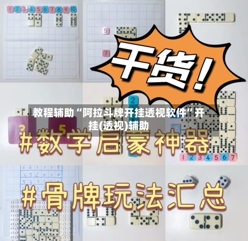 教程辅助“阿拉斗牌开挂透视软件”开挂(透视)辅助-第1张图片