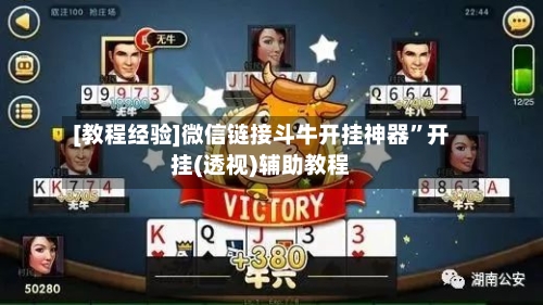 [教程经验]微信链接斗牛开挂神器”开挂(透视)辅助教程-第2张图片