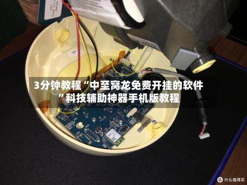 3分钟教程“中至窝龙免费开挂的软件”科技辅助神器手机版教程-第1张图片
