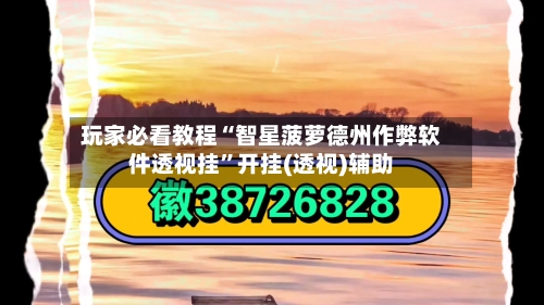 玩家必看教程“智星菠萝德州作弊软件透视挂	”开挂(透视)辅助-第1张图片