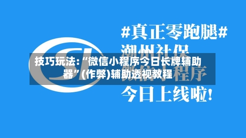 技巧玩法:“微信小程序今日长牌辅助器”(作弊)辅助透视教程-第3张图片
