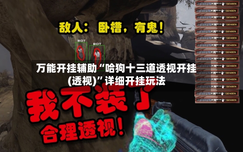 万能开挂辅助“哈狗十三道透视开挂(透视)”详细开挂玩法-第2张图片