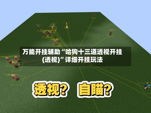 万能开挂辅助“哈狗十三道透视开挂(透视)”详细开挂玩法-第3张图片