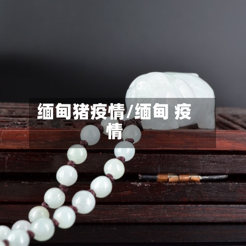 缅甸猪疫情/缅甸 疫情-第1张图片