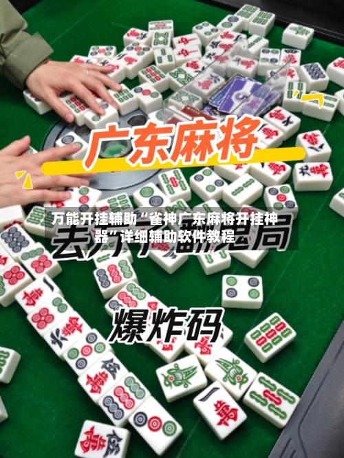 万能开挂辅助“雀神广东麻将开挂神器”详细辅助软件教程-第2张图片