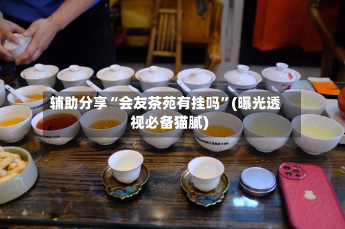 辅助分享“会友茶苑有挂吗”(曝光透视必备猫腻)-第1张图片