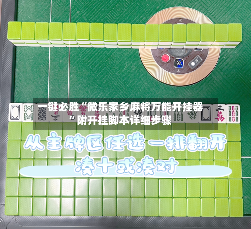 一键必胜“微乐家乡麻将万能开挂器	”附开挂脚本详细步骤-第1张图片
