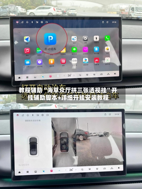 教程辅助“海草众厅拼三张透视挂”开挂辅助脚本+详细开挂安装教程-第2张图片