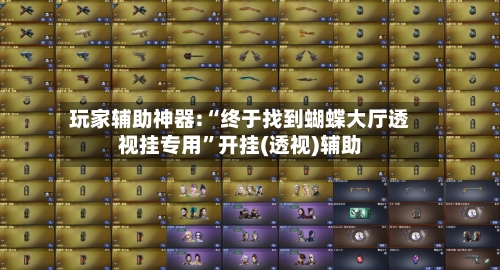 玩家辅助神器:“终于找到蝴蝶大厅透视挂专用	”开挂(透视)辅助-第1张图片