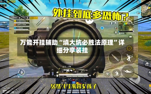 万能开挂辅助“填大坑必胜法原理”详细分享装挂-第2张图片