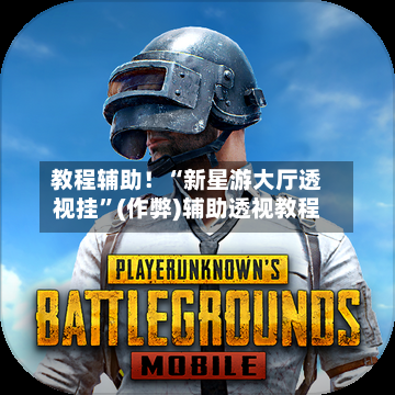 教程辅助！“新星游大厅透视挂”(作弊)辅助透视教程-第1张图片