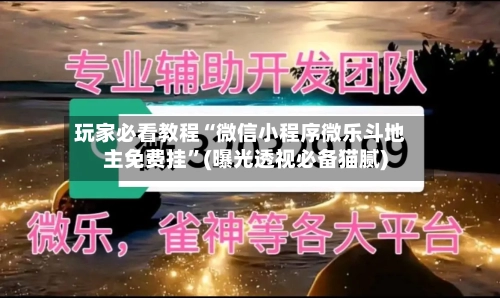 玩家必看教程“微信小程序微乐斗地主免费挂	”(曝光透视必备猫腻)-第3张图片