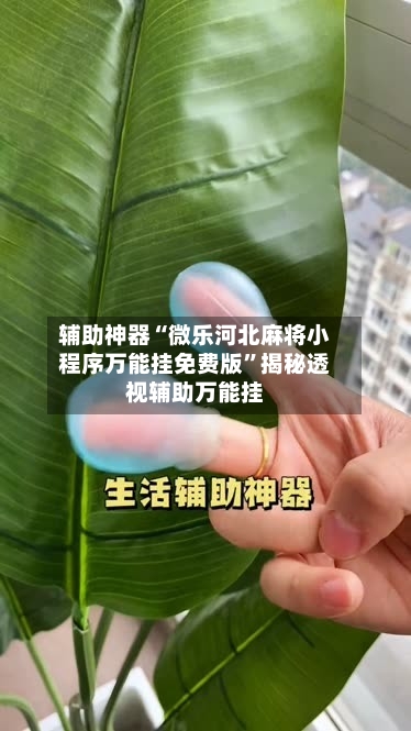 辅助神器“微乐河北麻将小程序万能挂免费版”揭秘透视辅助万能挂-第1张图片