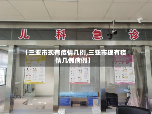 【三亚市现有疫情几例,三亚市现有疫情几例病例】-第3张图片