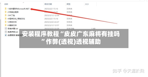安装程序教程“皮皮广东麻将有挂吗”作弊(透视)透视辅助-第2张图片