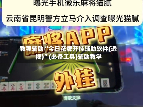 教程辅助“今日花牌开挂辅助软件(透视)	”(必备工具)辅助教学-第2张图片