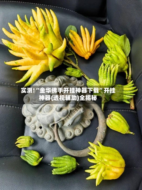 实测!“金华佛手开挂神器下载”开挂神器{透视辅助}全揭秘-第1张图片