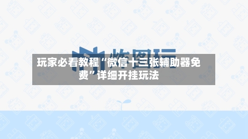 玩家必看教程“微信十三张辅助器免费”详细开挂玩法-第2张图片