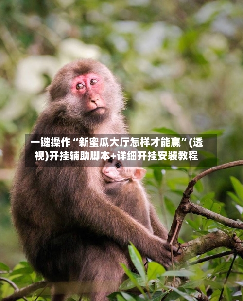 一键操作“新蜜瓜大厅怎样才能赢	”(透视)开挂辅助脚本+详细开挂安装教程-第1张图片