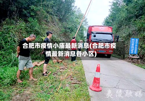 合肥市疫情小庙最新消息(合肥市疫情最新消息各小区)-第3张图片