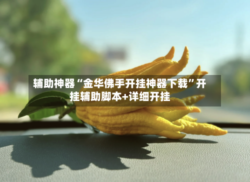 辅助神器“金华佛手开挂神器下载	”开挂辅助脚本+详细开挂-第1张图片