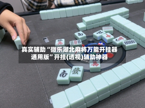 真实辅助“微乐湖北麻将万能开挂器通用版”开挂(透视)辅助神器-第2张图片