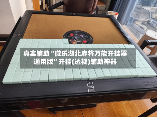 真实辅助“微乐湖北麻将万能开挂器通用版”开挂(透视)辅助神器-第3张图片