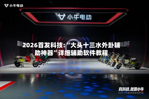 2026首发科技:“大头十三水外卦辅助神器”详细辅助软件教程-第1张图片