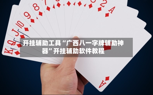 开挂辅助工具“广西八一字牌辅助神器”开挂辅助软件教程-第3张图片