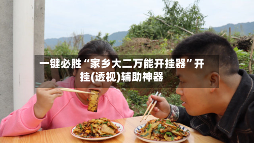 一键必胜“家乡大二万能开挂器”开挂(透视)辅助神器-第2张图片