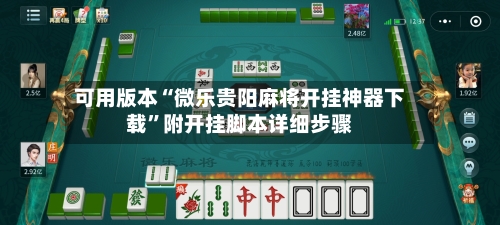 可用版本“微乐贵阳麻将开挂神器下载	”附开挂脚本详细步骤-第2张图片