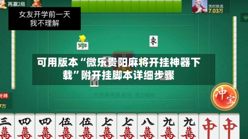可用版本“微乐贵阳麻将开挂神器下载”附开挂脚本详细步骤-第3张图片