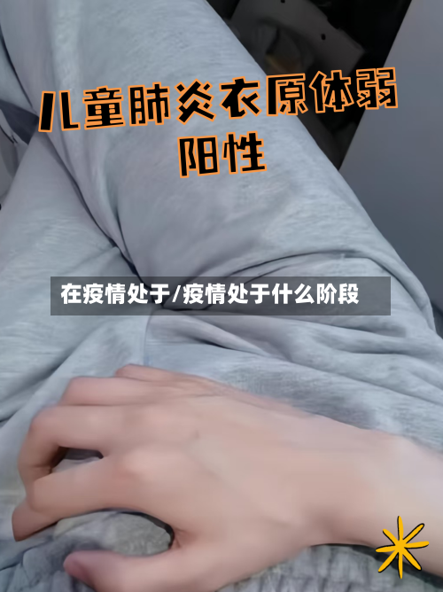 在疫情处于/疫情处于什么阶段-第2张图片