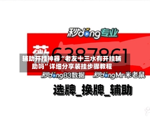 辅助开挂神器“老友十三水有开挂辅助吗	”详细分享装挂步骤教程-第2张图片