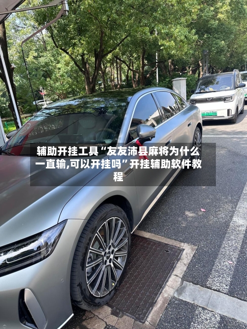 辅助开挂工具“友友沛县麻将为什么一直输,可以开挂吗	”开挂辅助软件教程-第1张图片