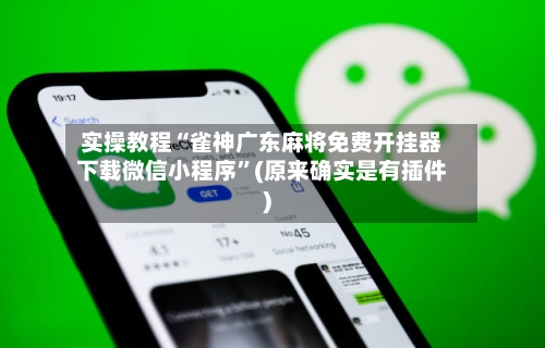 实操教程“雀神广东麻将免费开挂器下载微信小程序”(原来确实是有插件)-第2张图片