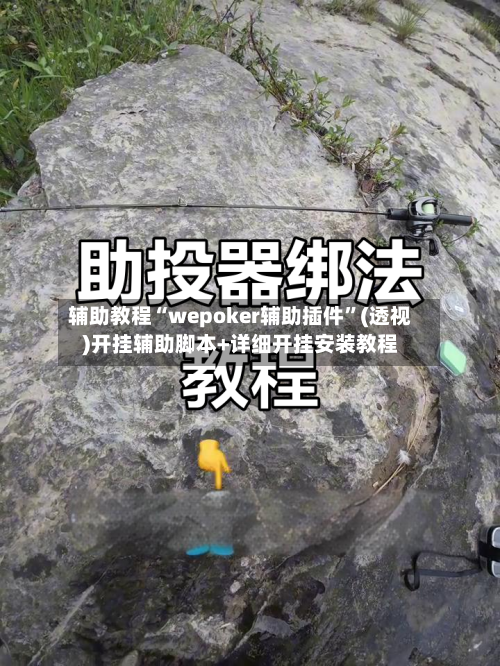 辅助教程“wepoker辅助插件”(透视)开挂辅助脚本+详细开挂安装教程-第1张图片