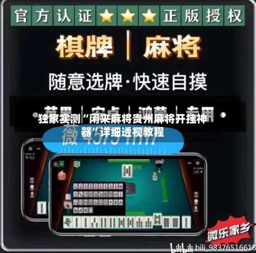 独家实测“闲来麻将贵州麻将开挂神器”详细透视教程-第1张图片