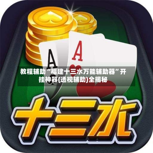 教程辅助“福建十三水万能辅助器”开挂神器{透视辅助}全揭秘-第2张图片