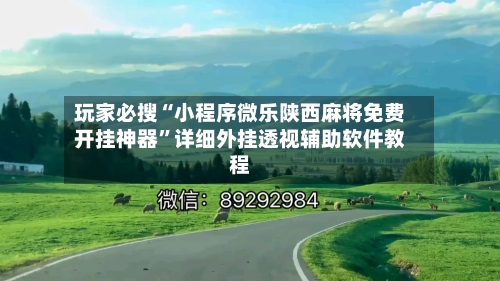 玩家必搜“小程序微乐陕西麻将免费开挂神器”详细外挂透视辅助软件教程-第1张图片