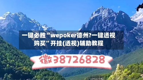 一键必胜“wepoker德州?一键透视购买”开挂(透视)辅助教程-第2张图片